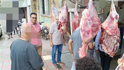 ضبط أكثر من نصف طن لحوم ومصنعات غذائية غير صالحة للاستهلاك الآدمي بالمنوفية