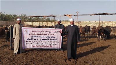الأوقاف تجهز الأضاحي بمجازر أبو سمبل استعدادًا لعيد الأضحى ..تعرف على التفاصيل
