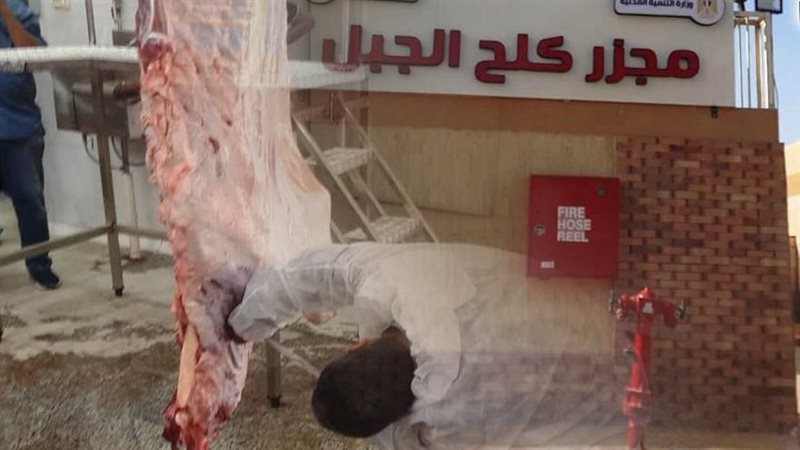 مجزر كلح الجبل بأسوان