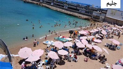 بعد ساعات من رفع الرايات الخضراء.. ارتفاع نسب الإشغال بشواطئ الإسكندرية 