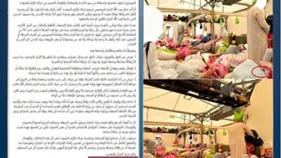 مصدر أمني ينفي تضرر حجاج مصريين منضمين لبرنامج حج من إهمال وسوء معاملة