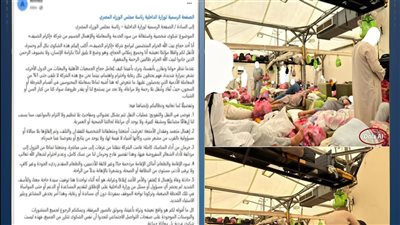 مصدر أمني: صور إساءة معاملة الحجاج المصريين مزيفة ومولدة بالذكاء الاصطناعي