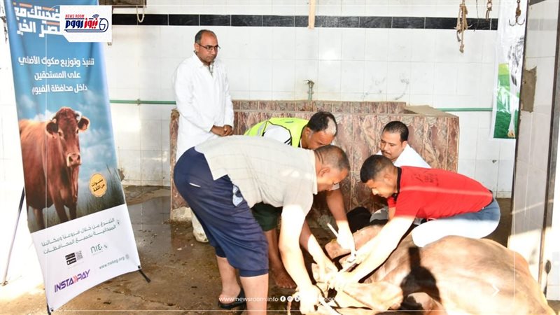 نحر الأضاحى بالفيوم