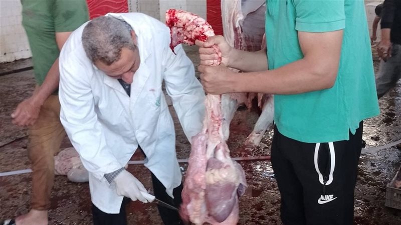 متابعة أعمال الذبح