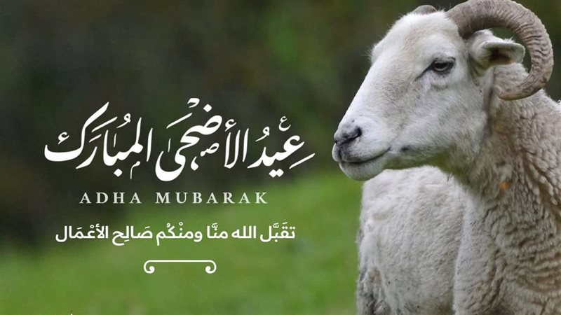 تعبيرية