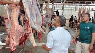 محافظ أسوان يتابع جهود الطب البيطرى فى استقبال وذبح الأضاحى بالمجان 