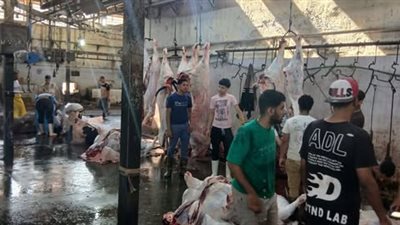 ذبح 4300 أضحية بالمجازر الحكومية خلال أول 3 أيام من عيد الأضحى بالجيزة