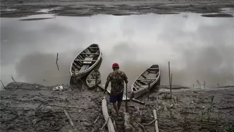 صورة موضوعية