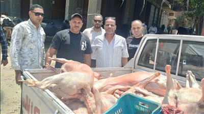 خلال إجازة عيد الأضحى.. ضبط 10 أطنان لحوم ومصنعات دواجن فاسدة بالجيزة 
