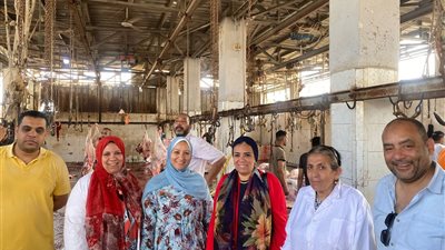 1671 أضحية بالمجزر النصف الآلي بجامعة الإسكندرية خلال أيام عيد الأضحى