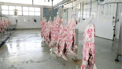 لحوم الهدي والأضاحي من مكة تصل إلى أكثر من 25 دولة حول العالم
