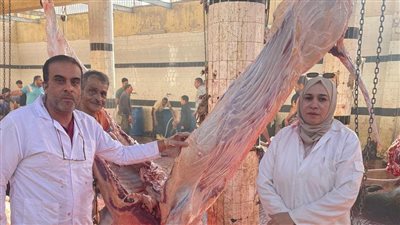 الزراعة تعلن ذبح 35,514 أضحية بالمجازر الحكومية مجاناً للمواطنين بالعيد الأضحي