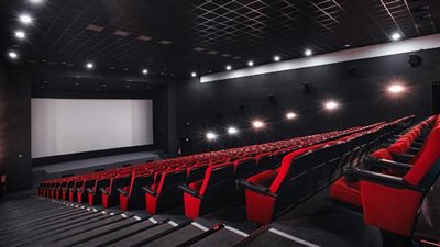 إدارة سينما سيتي ستارز تتخذ الإجراءات ضد شخص زعم اكتمال قاعة فيلم أسد