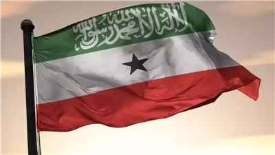 من حلمي الجزار للتمثيل الحزبي.. أصابع جماعة الإخوان في صوماليلاند