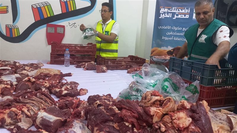 خلال الحملة 