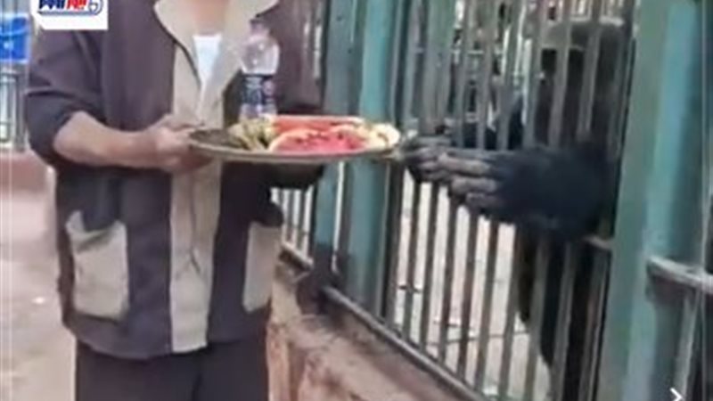 حديقة حيوان الفيوم