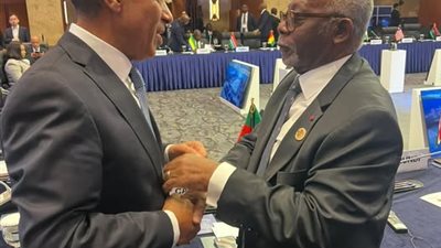 وزير الخارجية ونظيره الكاميروني يبحثان تعزيز التعاون الاقتصادي وبناء القدرات