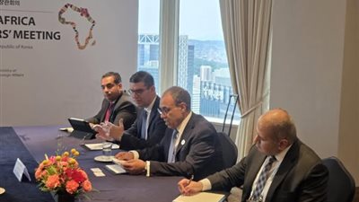 وزير الخارجية يبحث مع بنك كوري توسيع الاستثمارات وتعزيز دعم الاقتصاد المصري