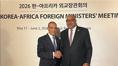 وزير الخارجية يلتقي بنظيره التنزاني على هامش الاجتماع الوزاري الكوري الأفريقي 