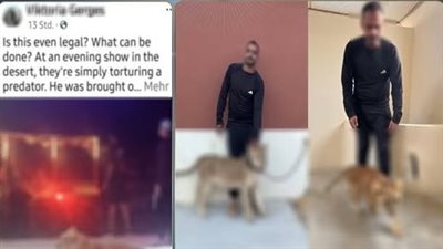 أسود في شوارع شرم الشيخ.. «الداخلية» تضبط صاحب عروض ترفيهية بدون ترخيص