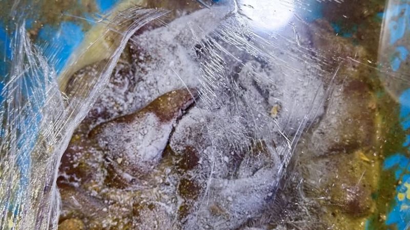 المضبوطات 