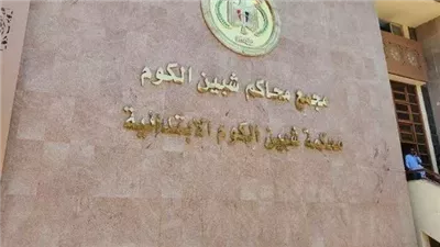اليوم.. أولى جلسات محاكمة المتهم بقتل جدته طعنًا بسبب خلافات أسرية في المنوفية