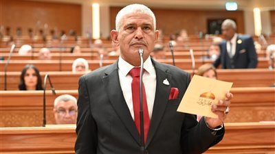 مصطفى بدران يتساءل عن الرقابة على منتجات القطاع غير الرسمي