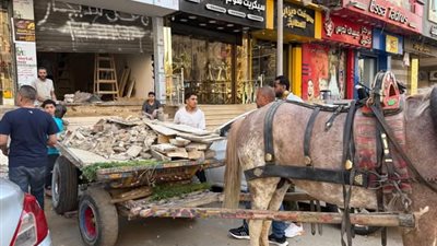 الجيزة تشن حربًا على النباشين.. وضبط 44 عربة كارو و39 تروسيكل