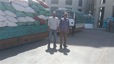 محافظ أسيوط: معدلات توريد القمح المحلي تواصل الارتفاع وتسجل 216 ألف طن