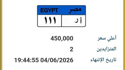 رقم مميز يشعل المزاد.. لوحة «أ ر 111» تقفز إلى 450 ألف جنيه