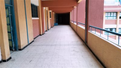 محافظ الإسكندرية يعلن جاهزية 333 لجنة لاستقبال امتحانات الشهادة الإعدادية 
