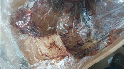 ضبط ربع طن لحوم ودجاج غير صالحة للاستهلاك الآدمي بحي شرق سوهاج