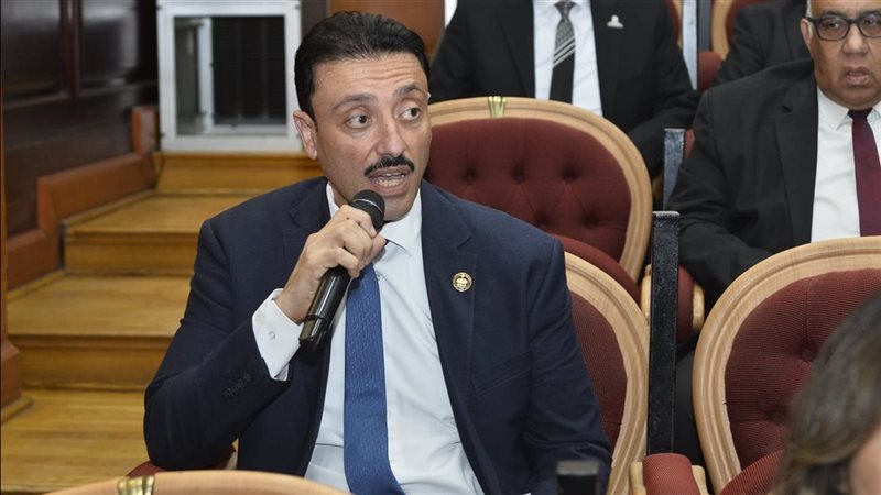 النائب محمد رزق 