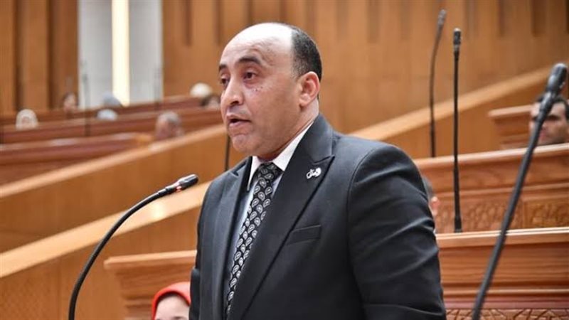 النائب حسام حسن 