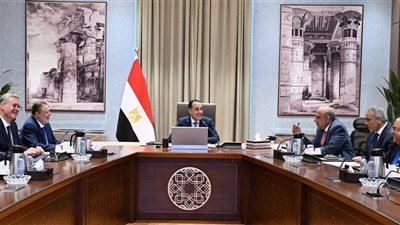 مدبولي يتابع توفير احتياطيات الوقود لضمان استدامة تأمين الطاقة للمواطنين