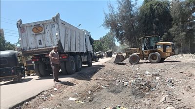 رفع 80 طن مخلفات.. محافظ الدقهلية يتابع حملة نظافة شاملة بقرية منية سمنود