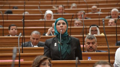 النائبة مريم العزب تقترب من إنهاء أزمة الرشاح بالقلج بعد موافقة وزير الزراعة