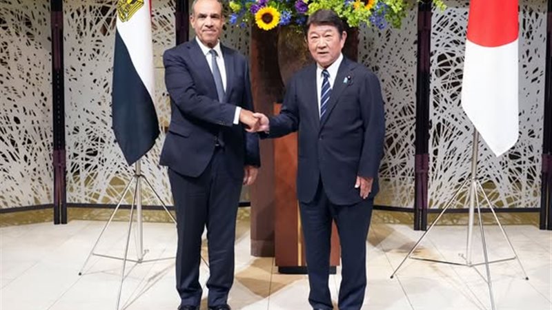 وزيري خارجية مصر
