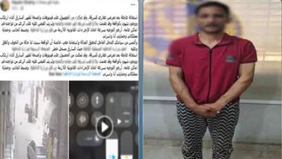 القبض على المتهم بسرقة محتويات منزل سيدة بالبحيرة 