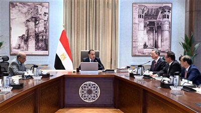مدبولي يلتقي رئيس شركة الصين لهندسة الطاقة المحدودة لبحث سبل التعاون المشترك
