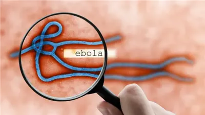الكونجو تحذر من تسارع انتشار إيبولا وتعلن تسجيل 71 إصابة جديدة