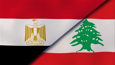 مصر تدين الاعتداء الإسرائيلي على دورية تابعة للجيش اللبناني 