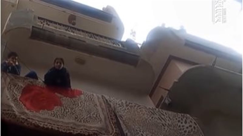 صورة متداولة للسيدة