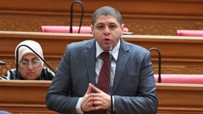 أحمد جبيلي يطالب بحل تعثر مشروع الصرف الصحي بالواحات البحرية