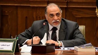 رئيس حقوق الإنسان بالشيوخ: الأمن القومي وحقوق الإنسان متلازمان