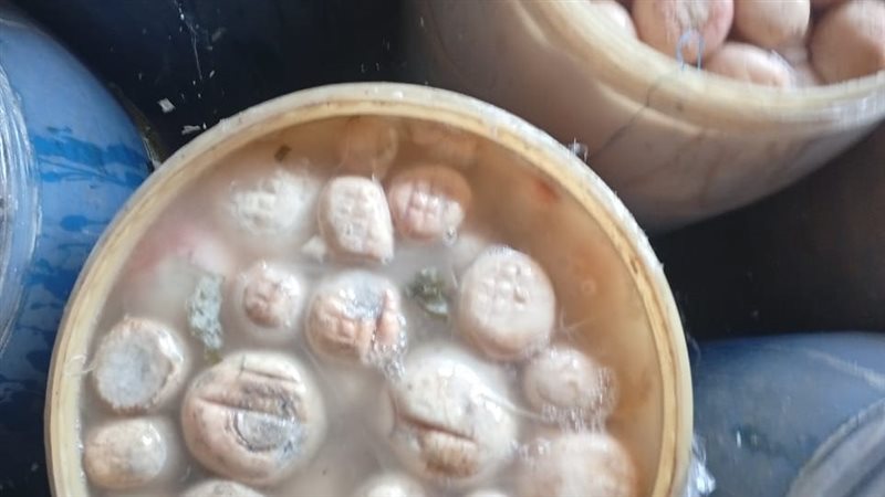جانب من الحملة 