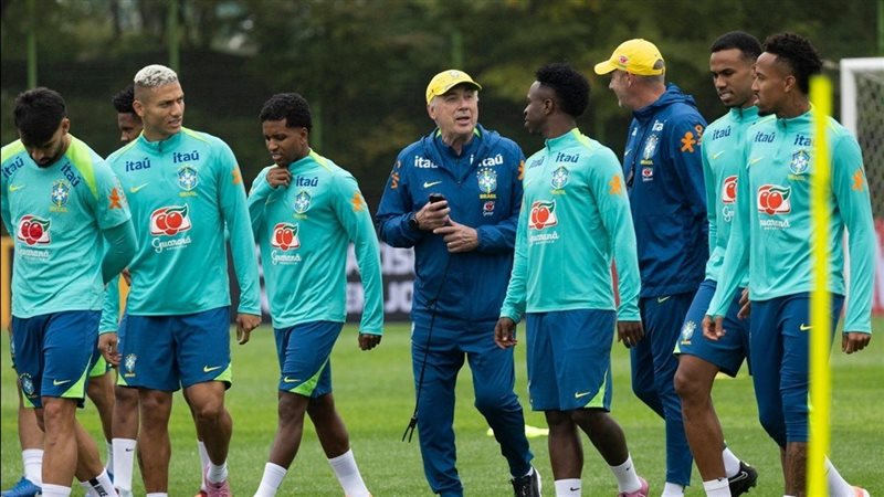 البرازيل كأس العالم