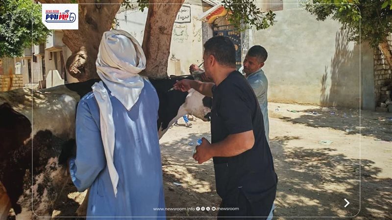 بيطري المنيا 