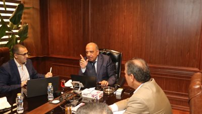 وزير الكهرباء يبحث مع «نكسوس انالاتيكا» رقمنة إدارة الشبكة