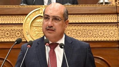 إيهاب وهبة: 30 يونيو أعادت مصر لمسارها الصحيح والسيسي انحاز لإرادة الشعب 